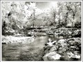 riverfalls park infrared enhansed