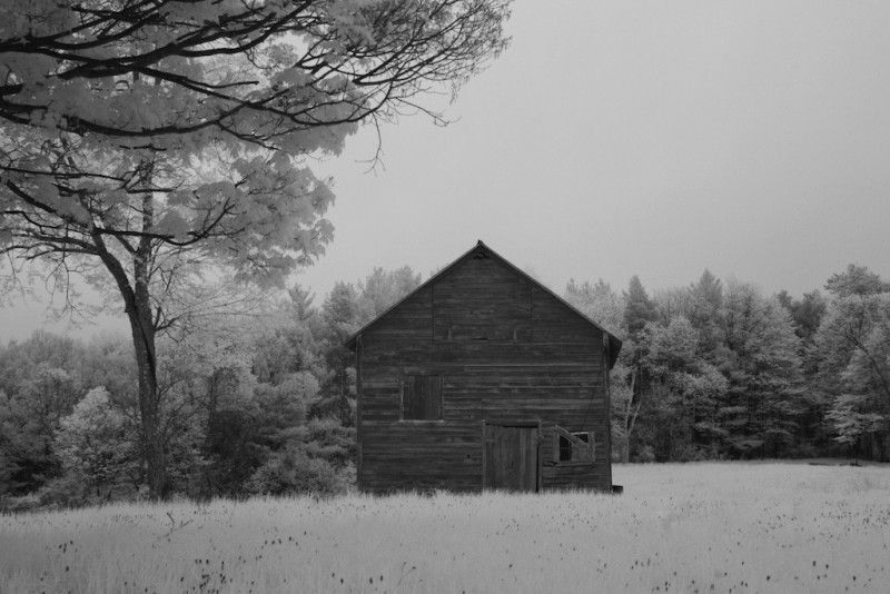 Red Barn Alone